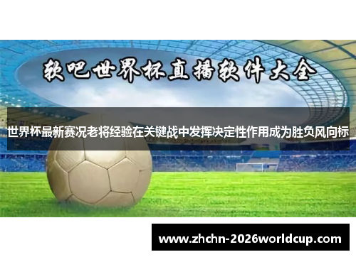 世界杯最新赛况老将经验在关键战中发挥决定性作用成为胜负风向标